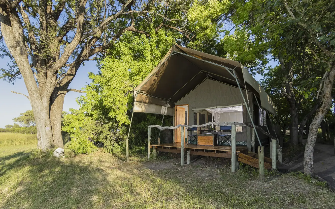 Canvas safari tent with wooden deck beneath shade trees, Sango Expedition Camp, Gonarezhou & Malilangwe, Zimbabwe