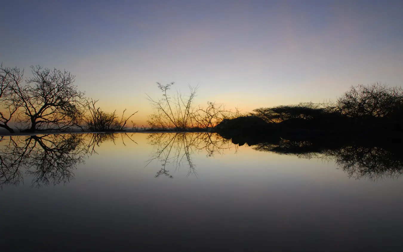 Sunrise over still water with silhouetted trees reflecting, Sarara Camp, Northern Kenya, Kenya