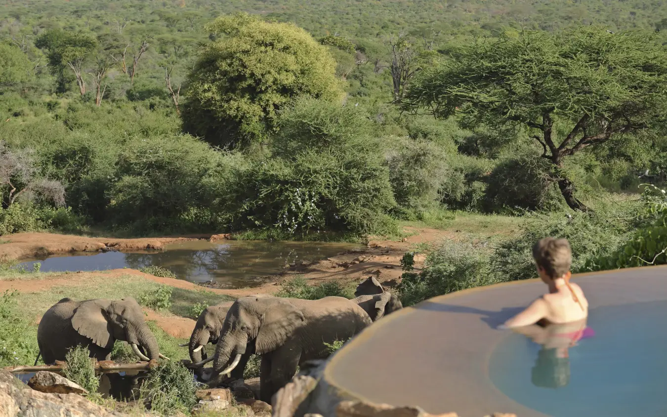 Guest swimming in pool overlooking elephants at waterhole, Sarara Camp, Northern Kenya, Kenya
