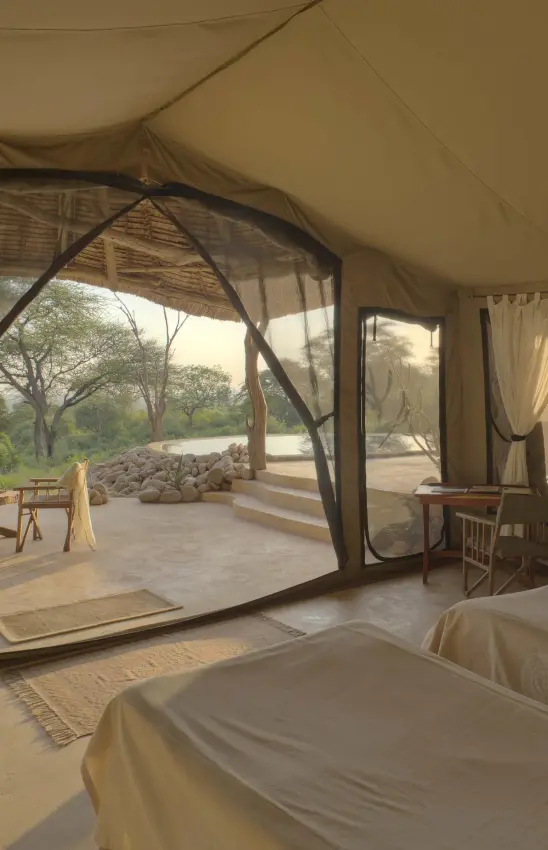 Spacious safari tent bedroom with open canvas walls, Sarara Camp, Northern Kenya, Kenya