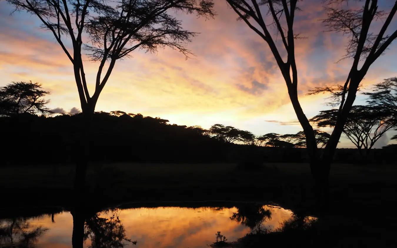 Sunset reflection over water with acacia trees silhouetted, Eagle View Camp, Maasai Mara, Kenya
