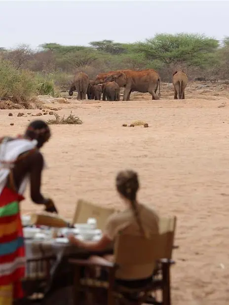 Guests dining at table with elephant herd in background on sandy terrain, Saruni Rhino, Northern Kenya, Kenya