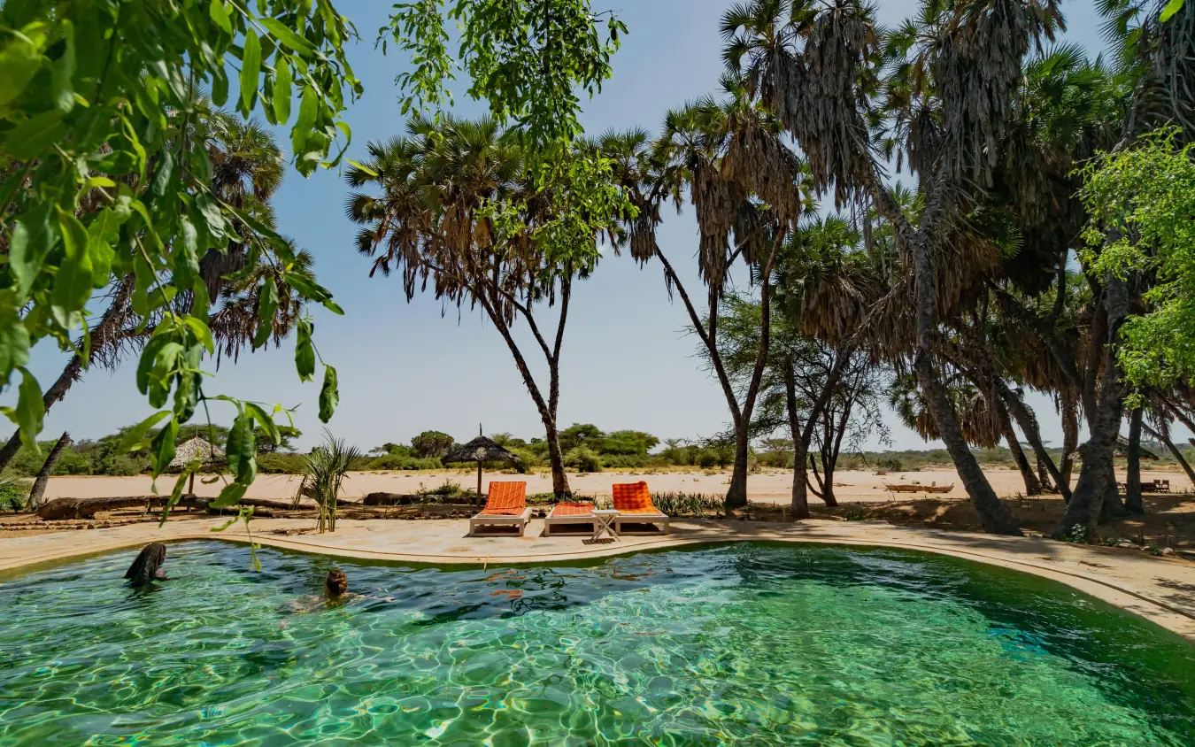 Natural spring pool with palm trees and loungers in arid landscape, Saruni Rhino, Northern Kenya, Kenya