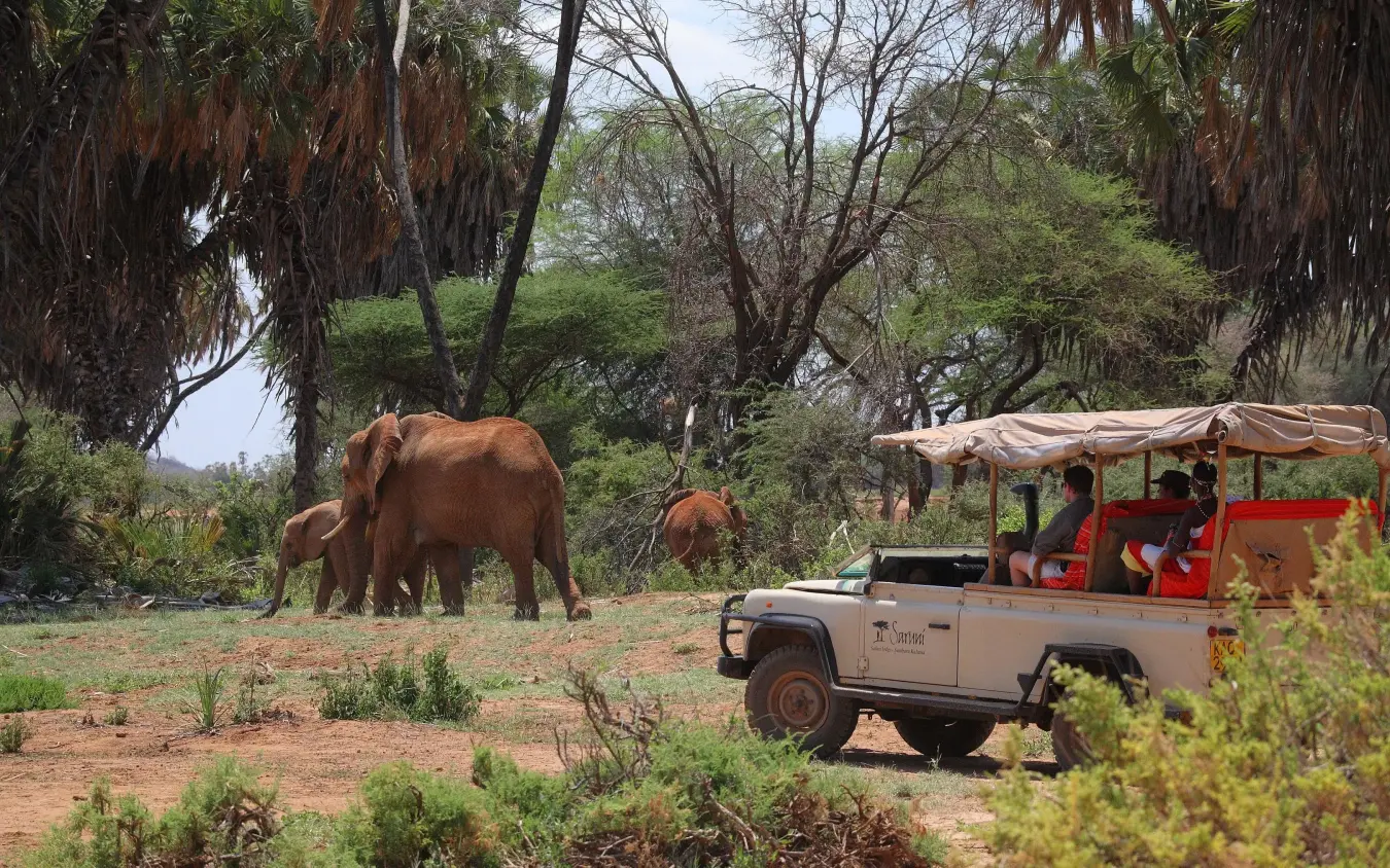 Safari vehicle with guests observing elephants in natural habitat, Saruni Samburu, Samburu Reserve, Kenya