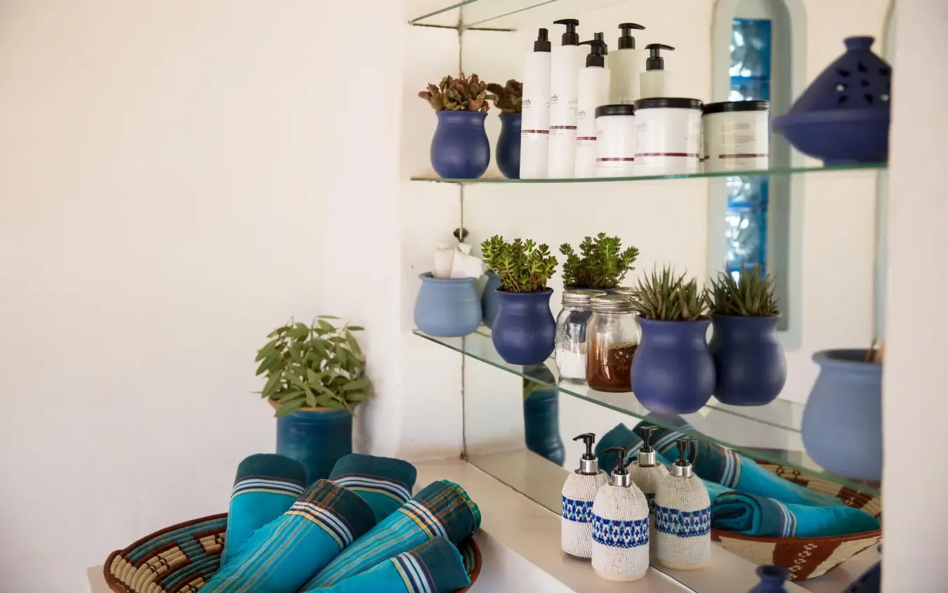 Bathroom shelf with plants, toiletries, and decorative items, Sasaab, Samburu Reserve, Kenya