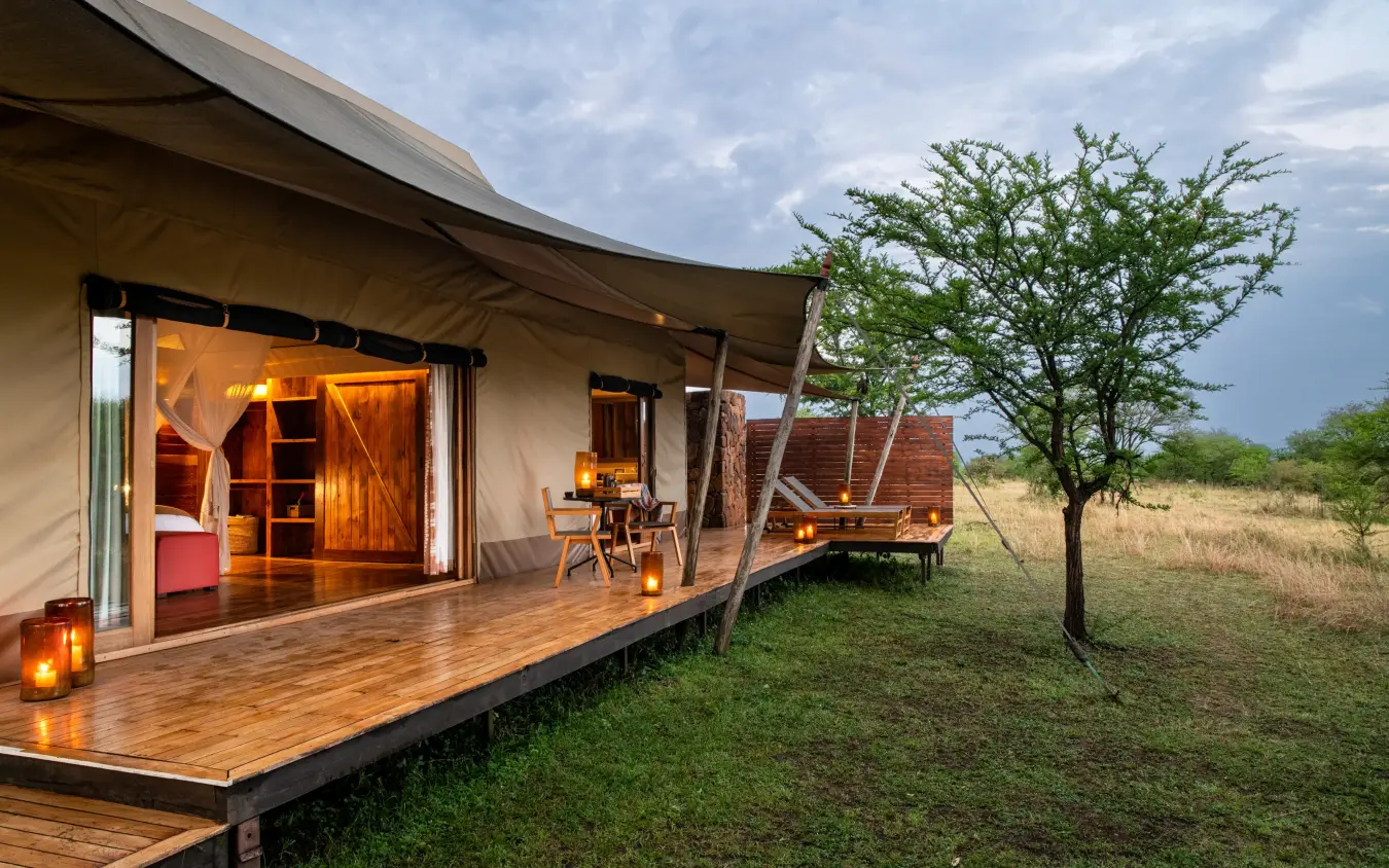 Safari tent lodge with wooden deck and acacia tree, Sayari Camp, Serengeti National Park, Tanzania