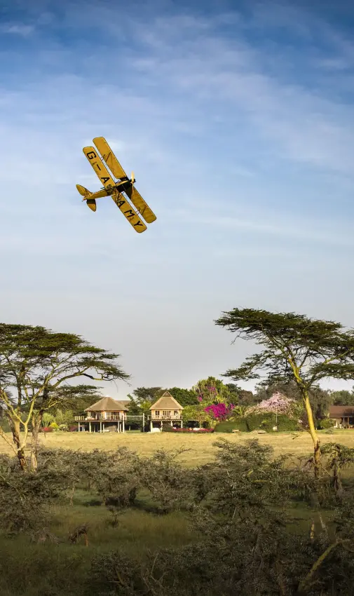 Yellow biplane flying over safari lodge and acacia trees, Segera, Laikipia Highlands, Kenya