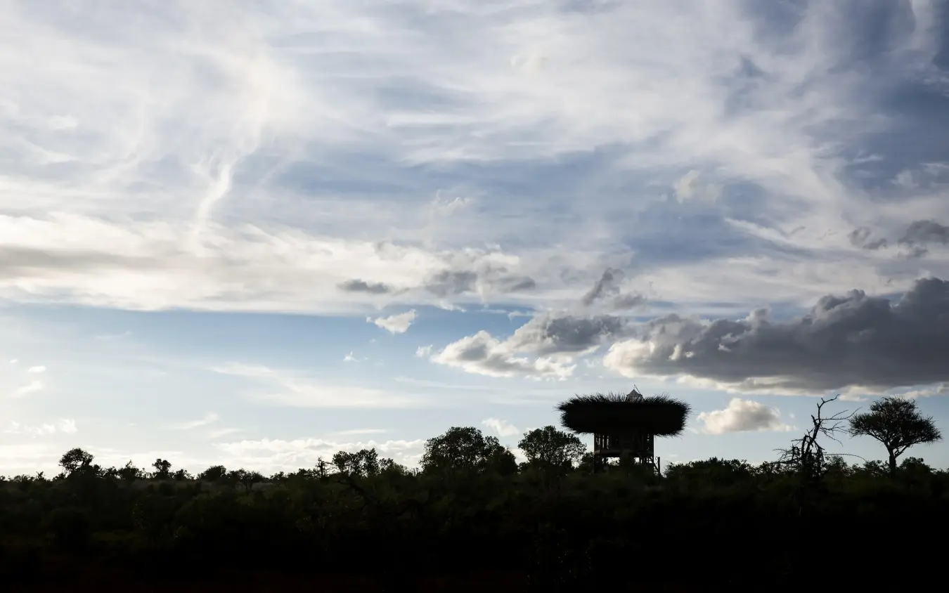 African savanna silhouette with acacia trees and dramatic sky, Segera, Laikipia Highlands, Kenya