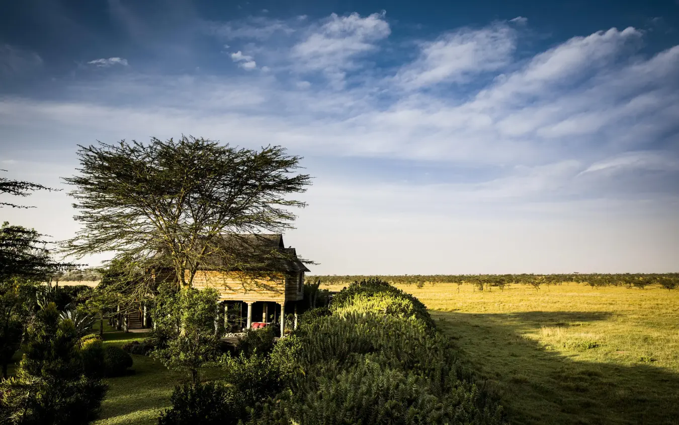 Thatched lodge building with acacia tree and savanna landscape, Segera, Laikipia Highlands, Kenya