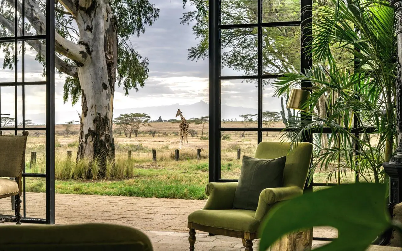 Interior seating area overlooking savanna with giraffe, Segera, Laikipia Highlands, Kenya