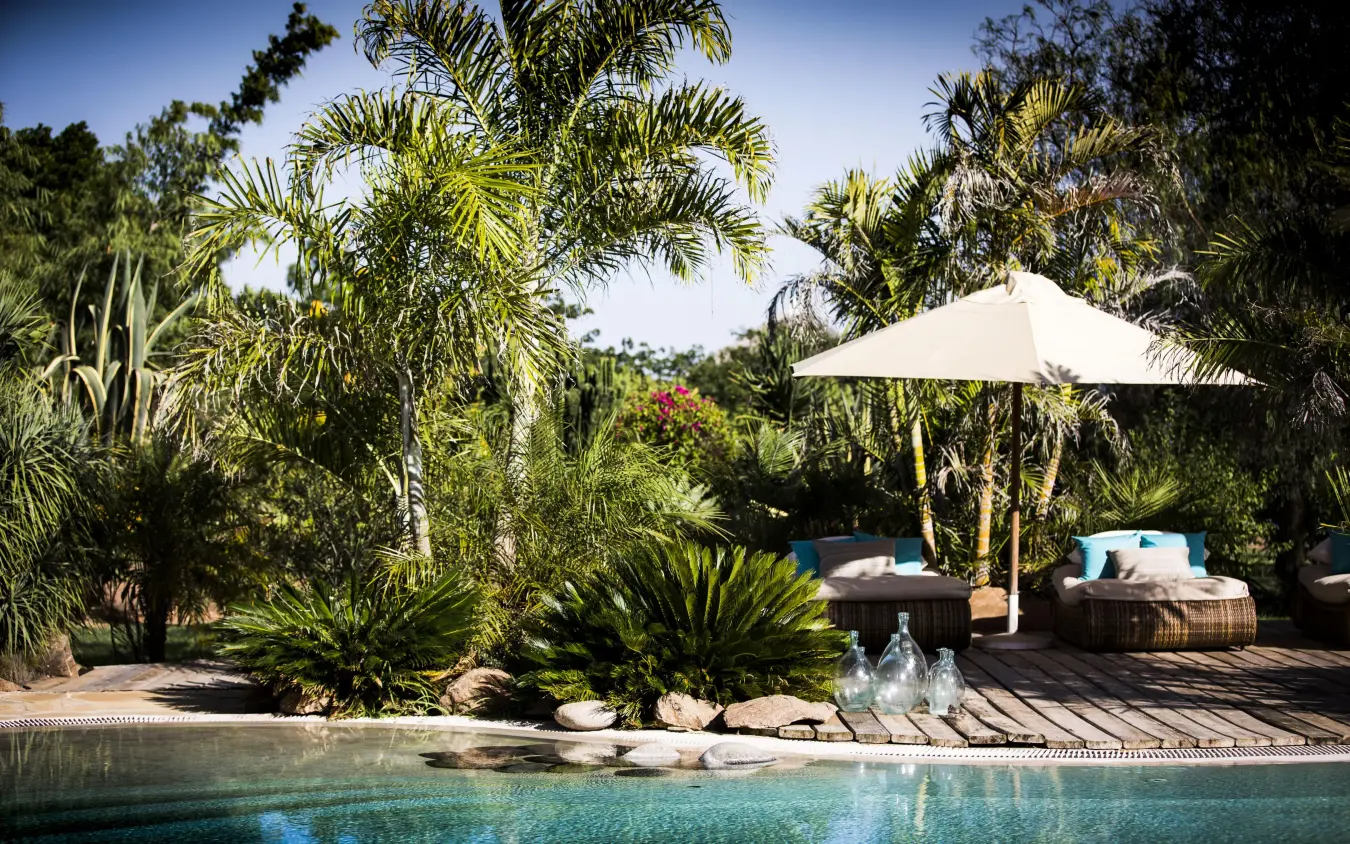 Infinity pool overlooking landscaped grounds with palm trees, Segera, Laikipia Highlands, Kenya