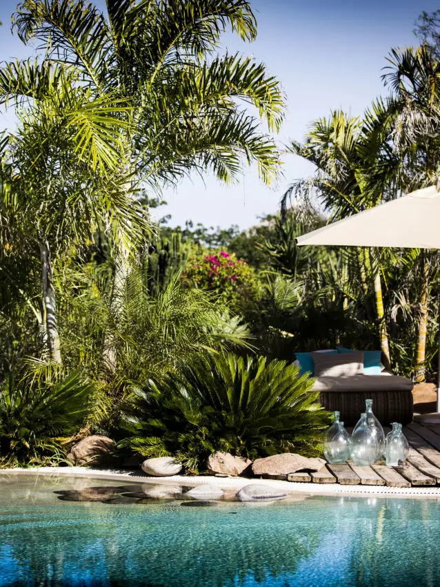 Infinity pool overlooking landscaped grounds with palm trees, Segera, Laikipia Highlands, Kenya