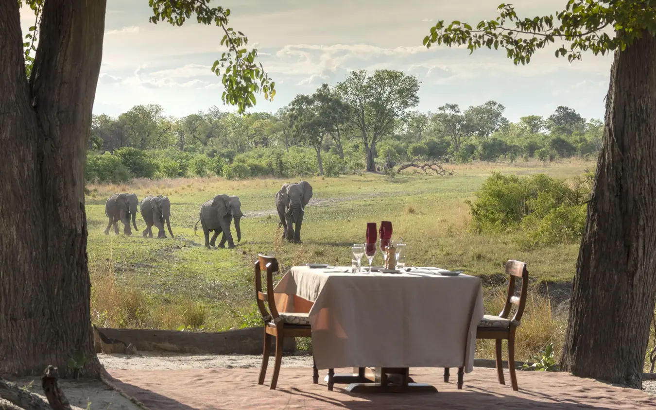 Dining table set under trees overlooking elephant herd, Selinda Explorers Camp, Selinda Reserve, Botswana