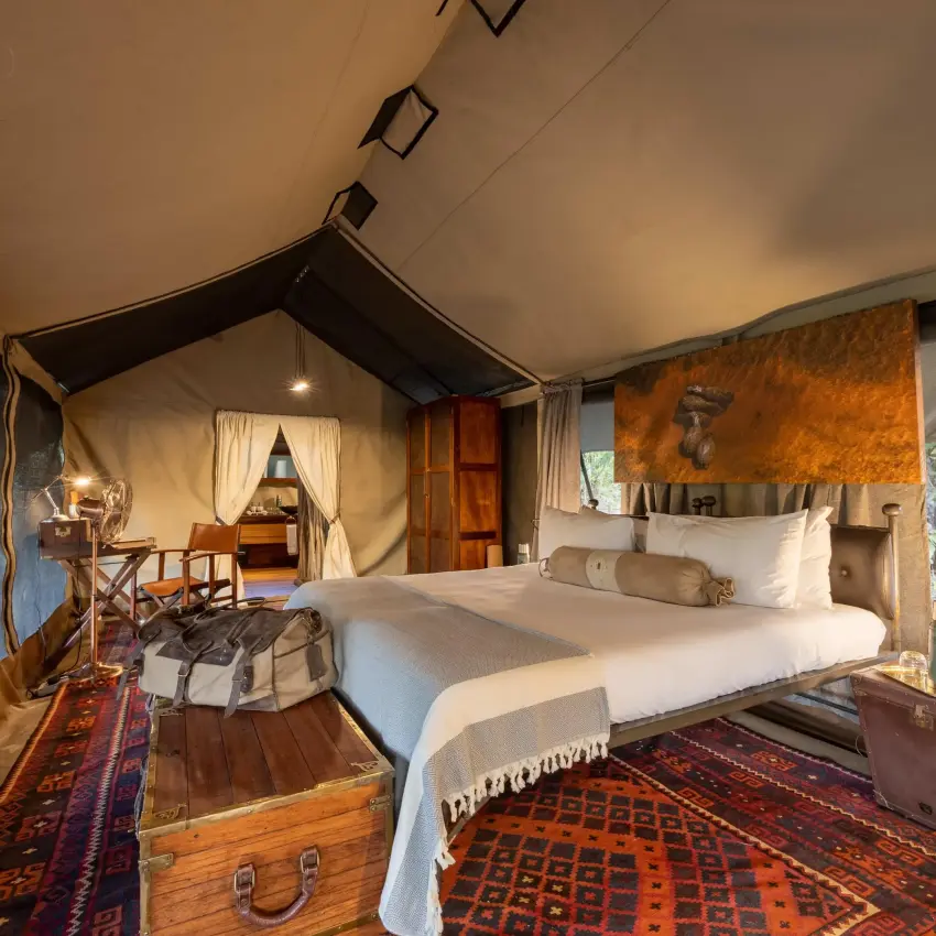 Canvas safari tent bedroom with white bed and wooden furnishings, Selinda Explorers Camp, Selinda Reserve, Botswana