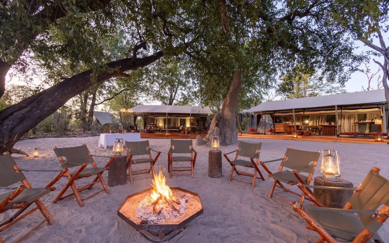 Sandy campfire area with canvas tents and large trees at dusk, Selinda Explorers Camp, Selinda Reserve, Botswana