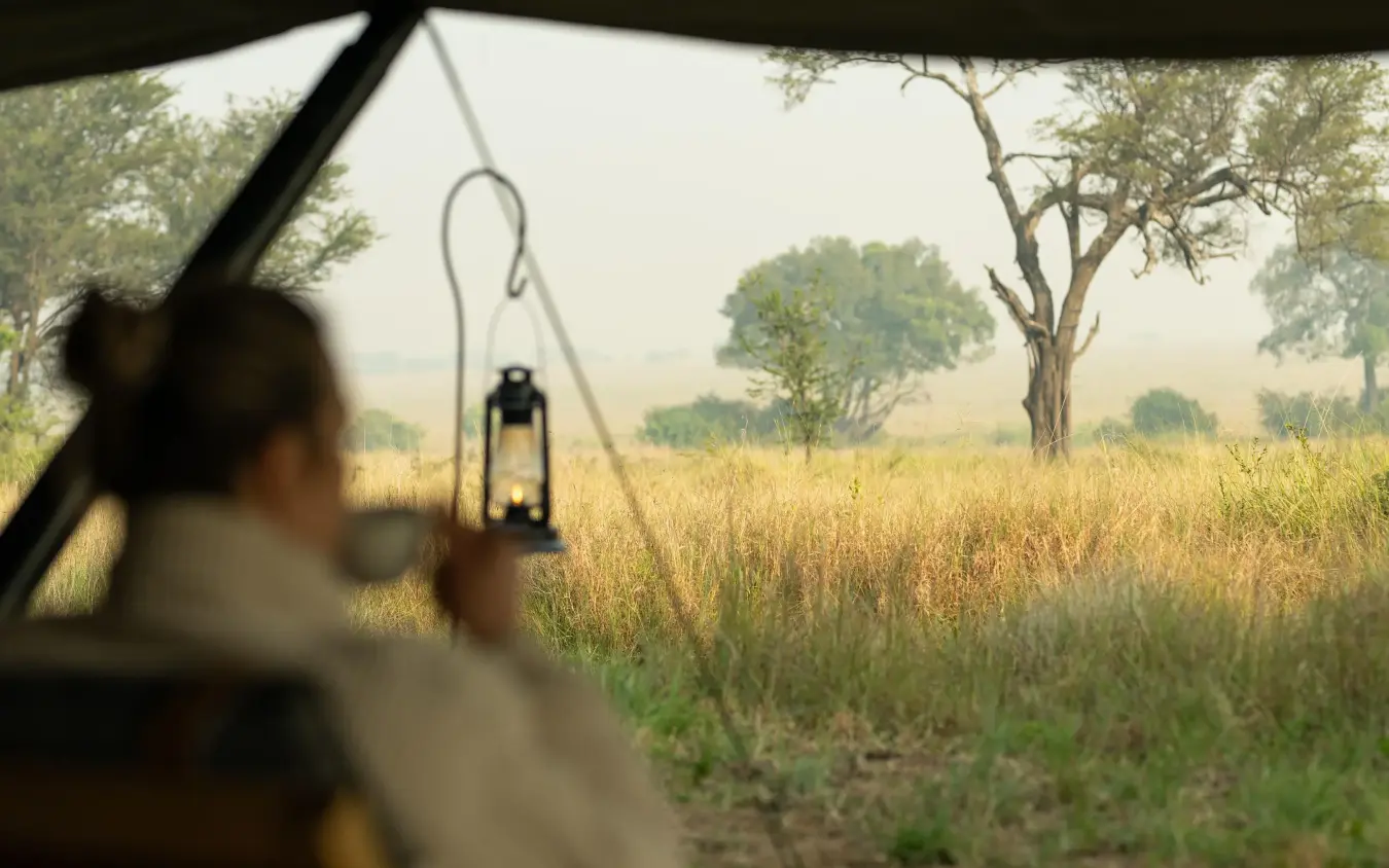 Guest holding lantern viewing savanna landscape from vehicle, Ubuntu Migration Camp, Serengeti National Park, Tanzania