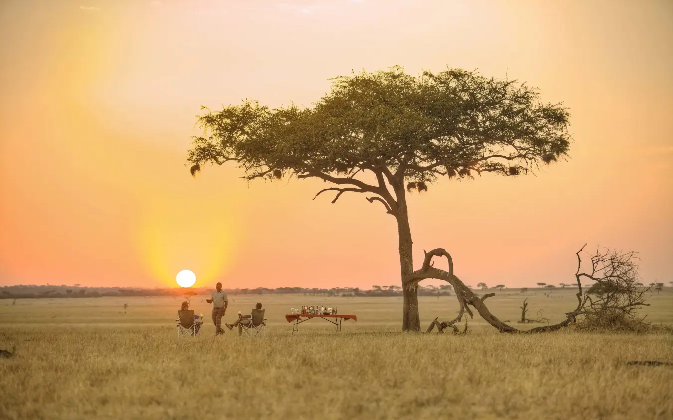 Guests gathered under acacia tree at sunset, Ubuntu Migration Camp, Serengeti National Park, Tanzania