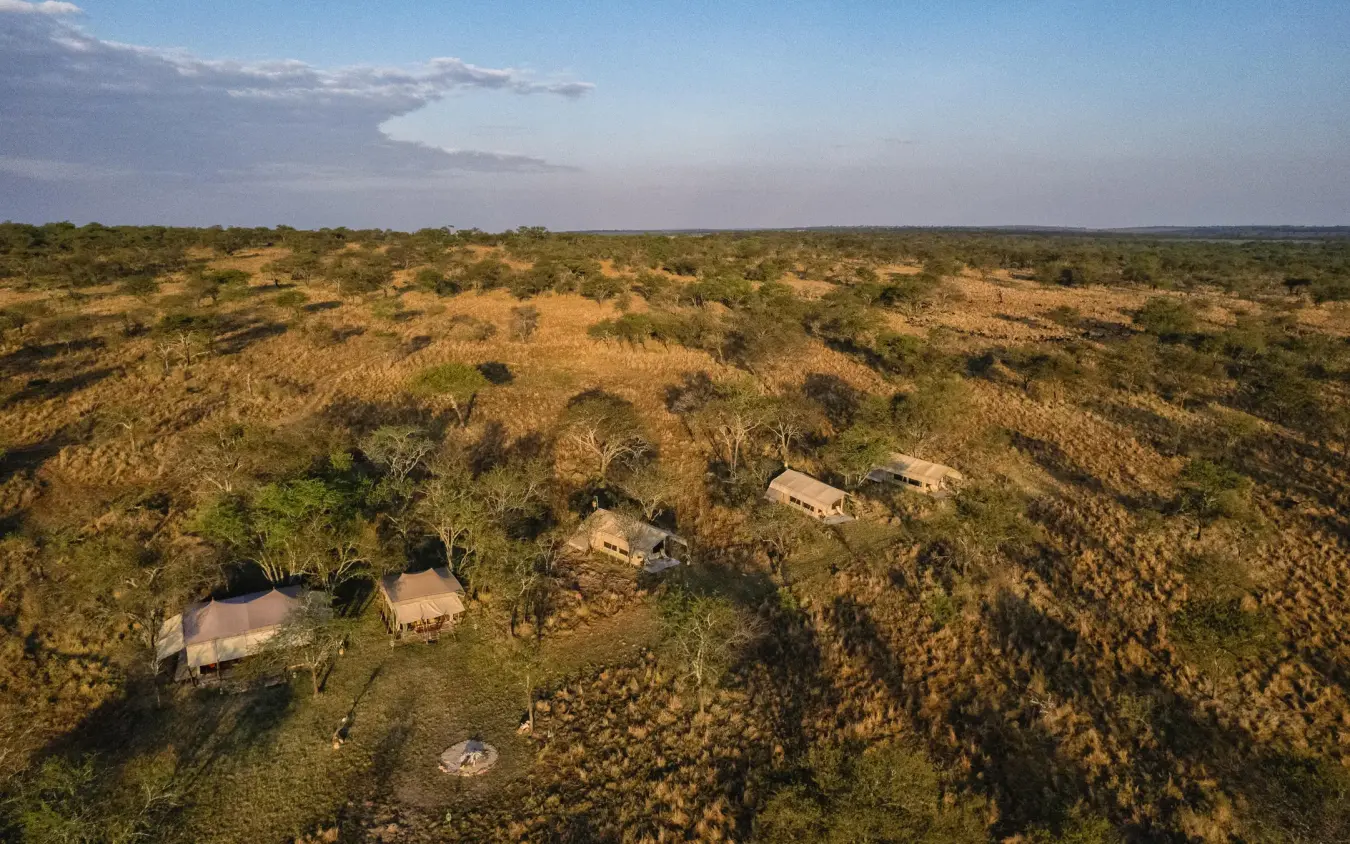 Aerial view of mobile camp structures in savanna landscape, Esirai Camp, Serengeti National Park, Tanzania