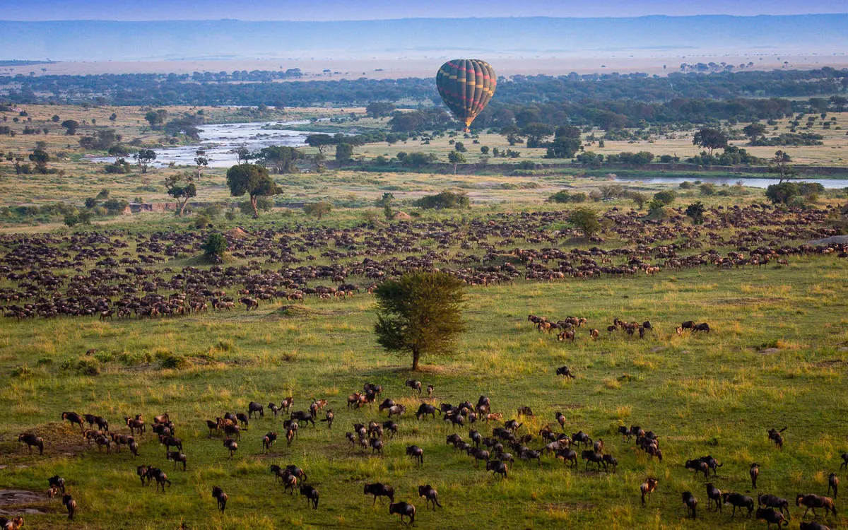 Hot air balloon over savanna with grazing wildlife herds, Esirai Camp, Serengeti National Park, Tanzania