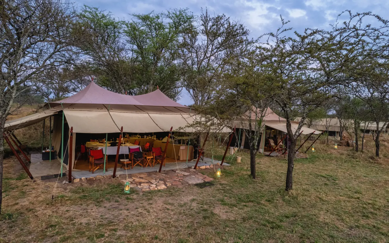 Canvas tent dining area under acacia trees at dusk, Esirai Camp, Serengeti National Park, Tanzania