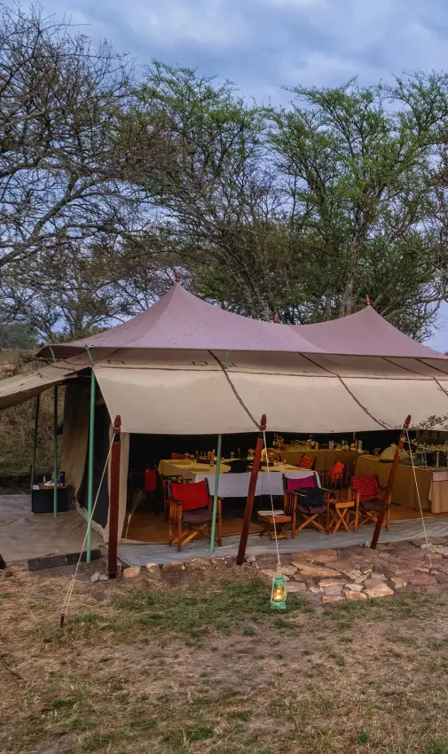 Canvas tent dining area under acacia trees at dusk, Esirai Camp, Serengeti National Park, Tanzania