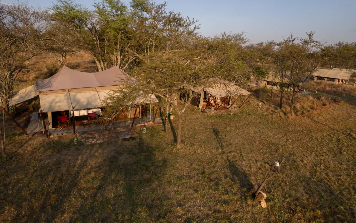 Aerial view of safari camp with canvas tent and trees, Esirai Camp, Serengeti National Park, Tanzania