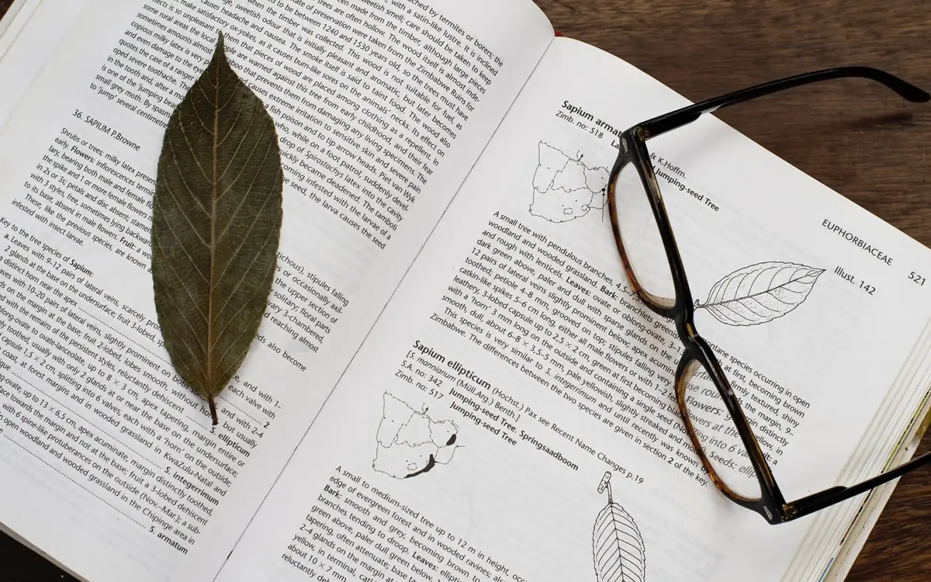 Pressed leaf and glasses on open textbook pages, Serian “The Original”, Maasai Mara, Kenya