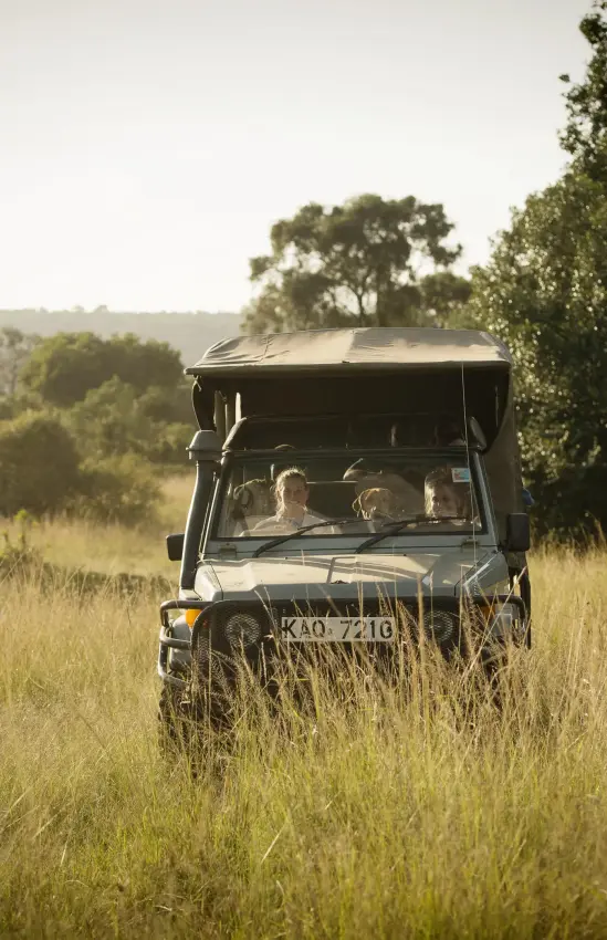 Safari vehicle driving through golden grassland with acacia trees, Serian “The Original”, Maasai Mara, Kenya