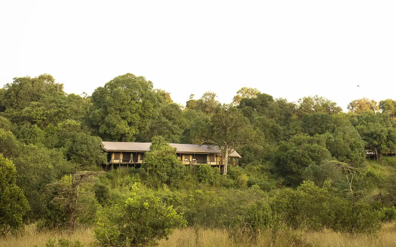 Safari lodge buildings nestled among acacia trees, Serian “The Original”, Maasai Mara, Kenya