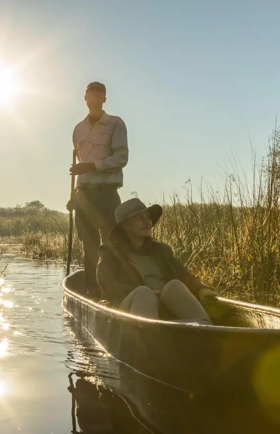 Guests poling traditional boat through papyrus wetland at sunrise, Setari, The Okavango Delta, Botswana