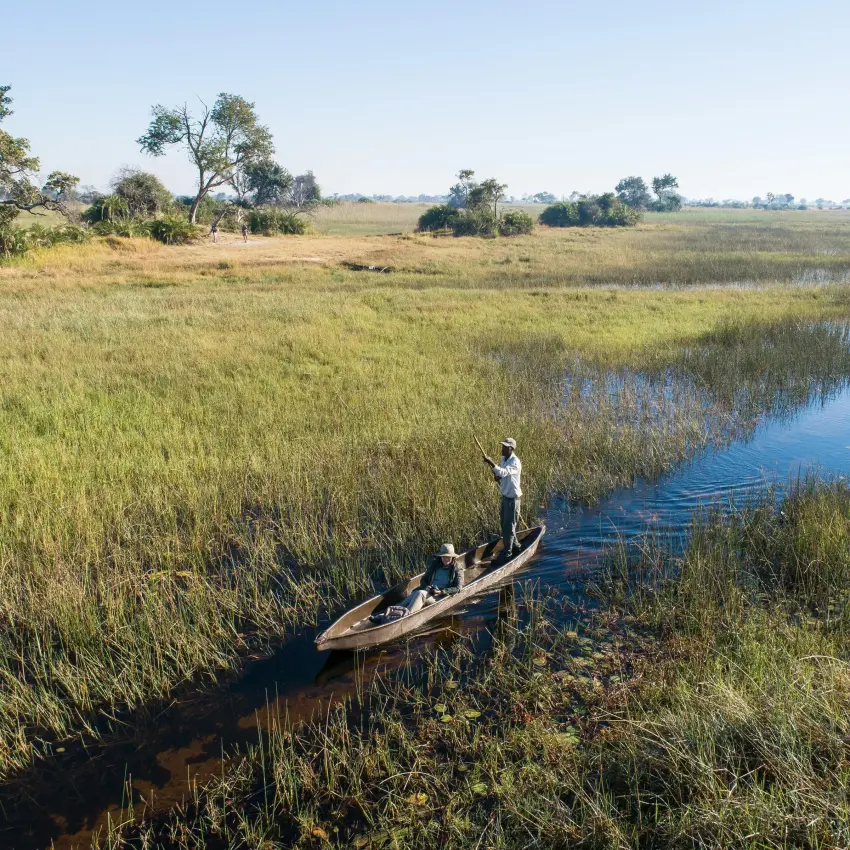 Traditional wooden canoe navigates narrow waterway through reed beds, Setari, The Okavango Delta, Botswana