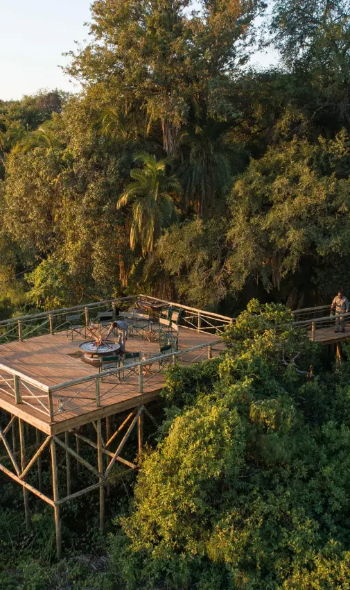 Elevated wooden deck overlooking dense riverine forest canopy, Setari, The Okavango Delta, Botswana