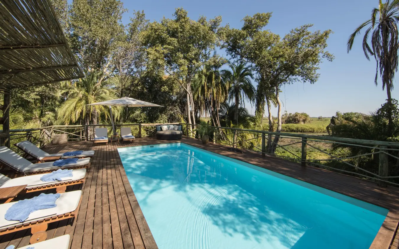 Resort swimming pool overlooking savanna landscape with palm trees, Setari, The Okavango Delta, Botswana