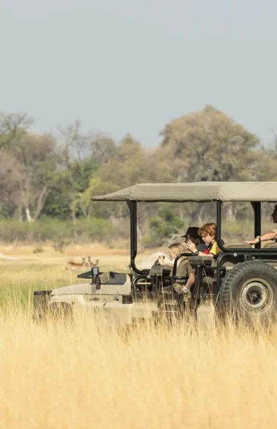 Safari vehicle with guests observing wildlife in grassland, Shinde, The Okavango Delta, Botswana