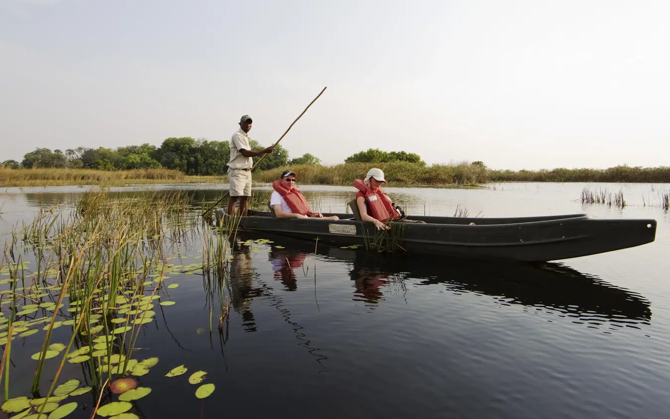 Guests poling traditional boat through papyrus wetlands, Shinde, The Okavango Delta, Botswana