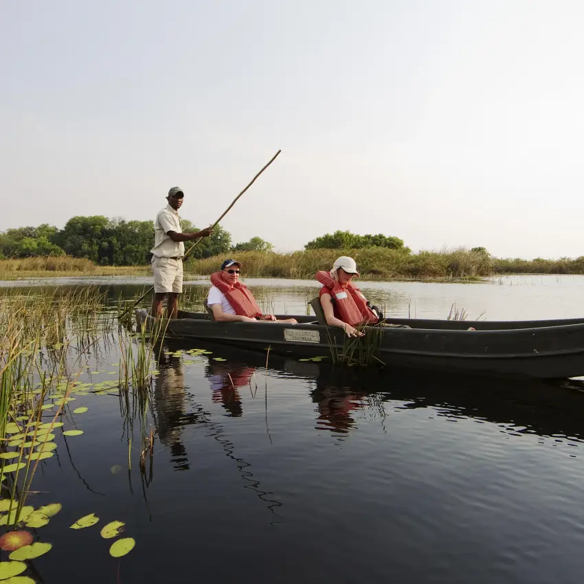 Guests poling traditional boat through papyrus wetlands, Shinde, The Okavango Delta, Botswana
