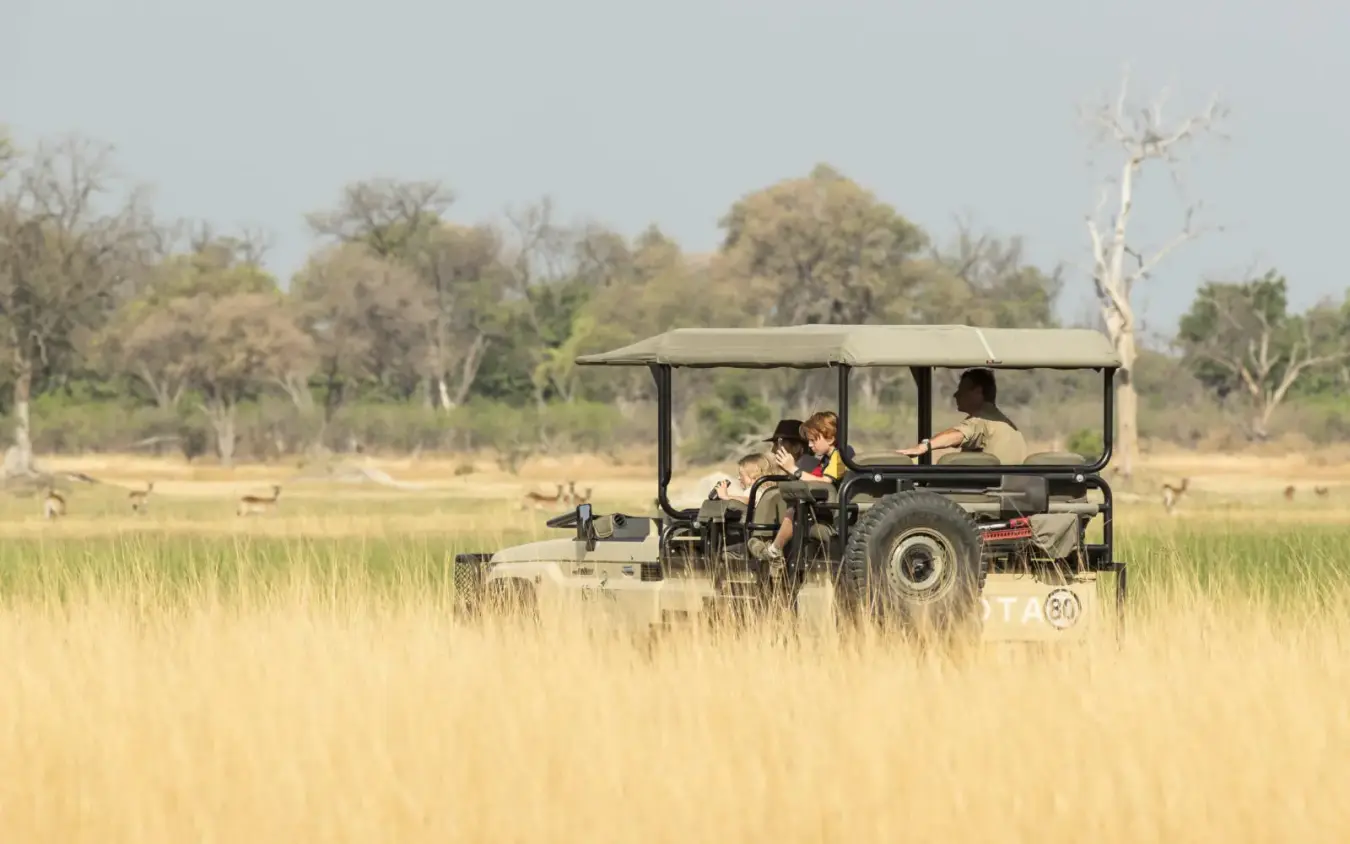 Safari vehicle with guests observing wildlife in grassland, Shinde, The Okavango Delta, Botswana