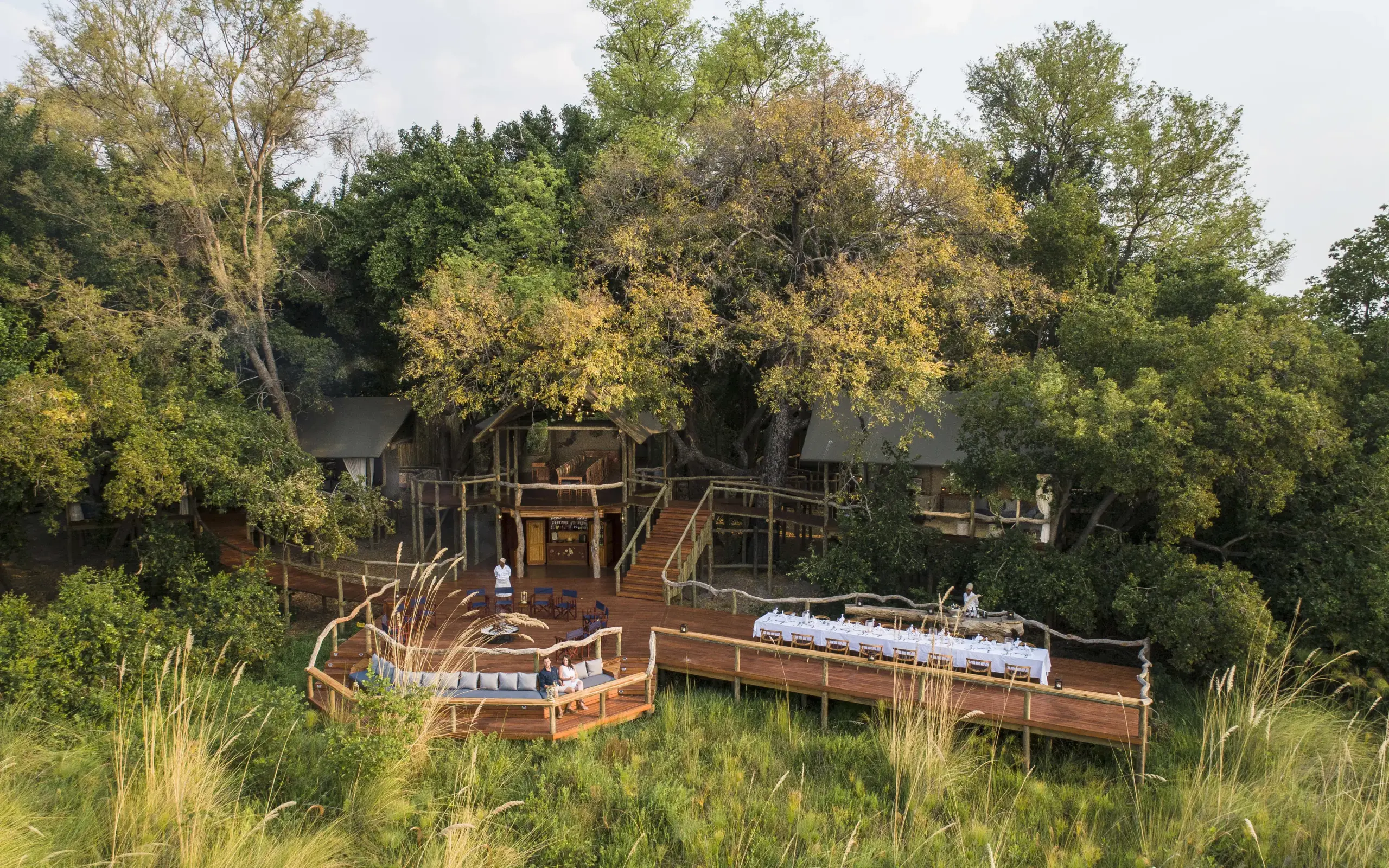 Elevated wooden lodge structures nestled among tall trees, Shinde, The Okavango Delta, Botswana