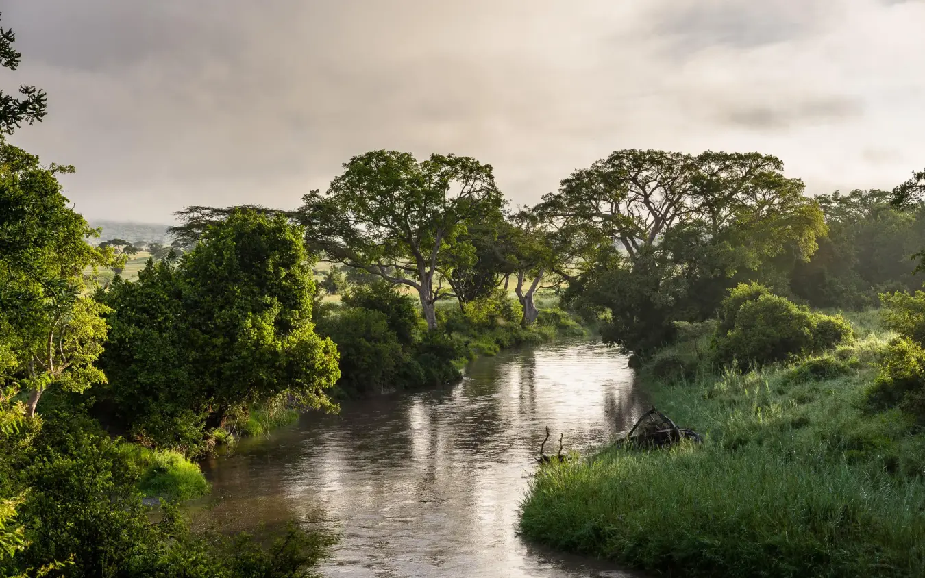 River flowing through lush green landscape with scattered trees, Faru Faru Lodge, Serengeti National Park, Tanzania