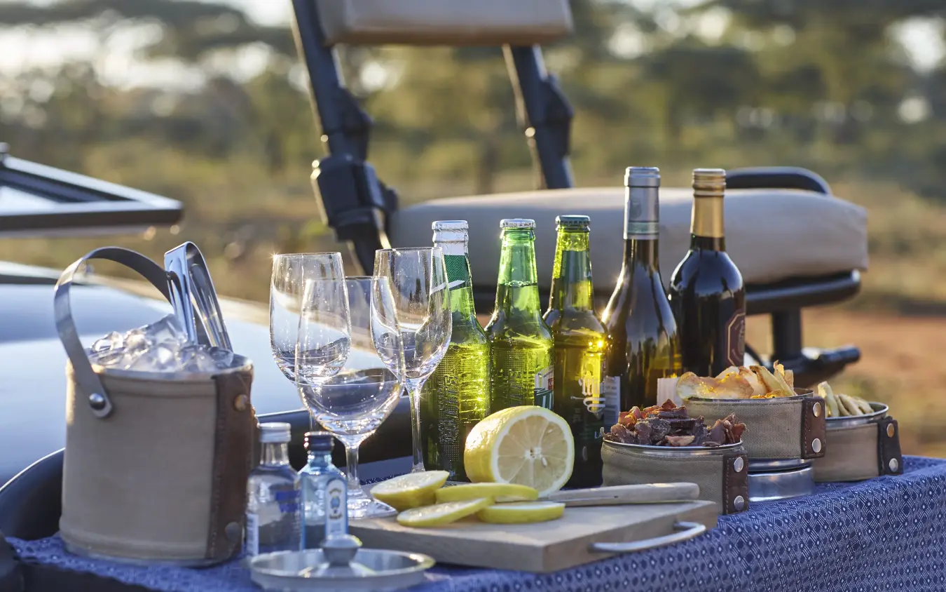 Outdoor picnic setup with wine bottles and glasses overlooking savanna landscape, Singita Malilangwe House, Gonarezhou & Malilangwe, Zimbabwe