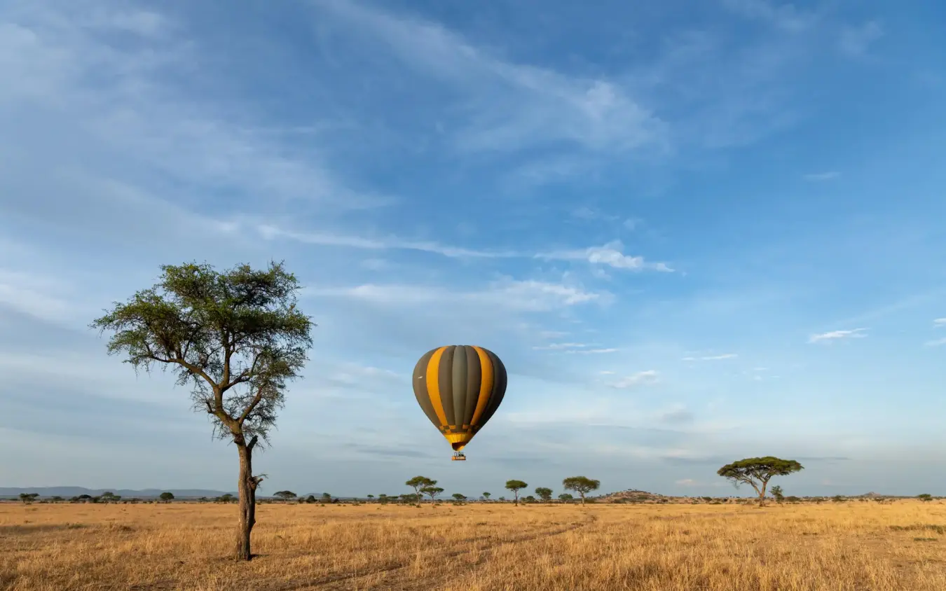 Hot air balloon floating above golden savanna grassland, Singita Sasakwa Lodge, Serengeti National Park, Tanzania