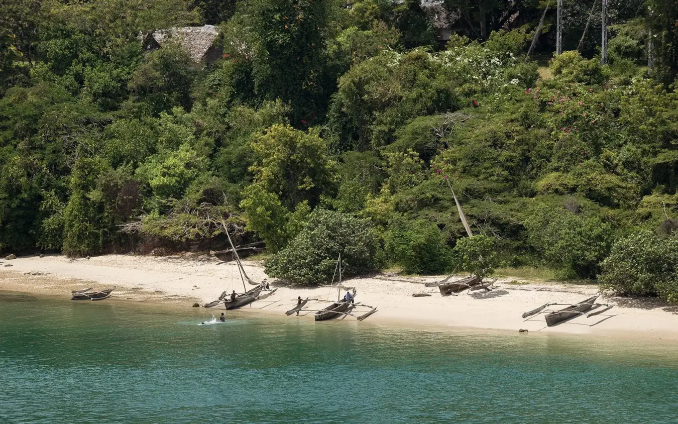 Beached wooden boats on sandy shore with dense forest, Sirai Beach, Kilifi, Kenya