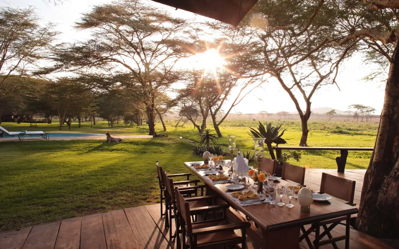 Outdoor dining table set under large acacia tree overlooking grassland, Sirikoi, Laikipia Highlands, Kenya