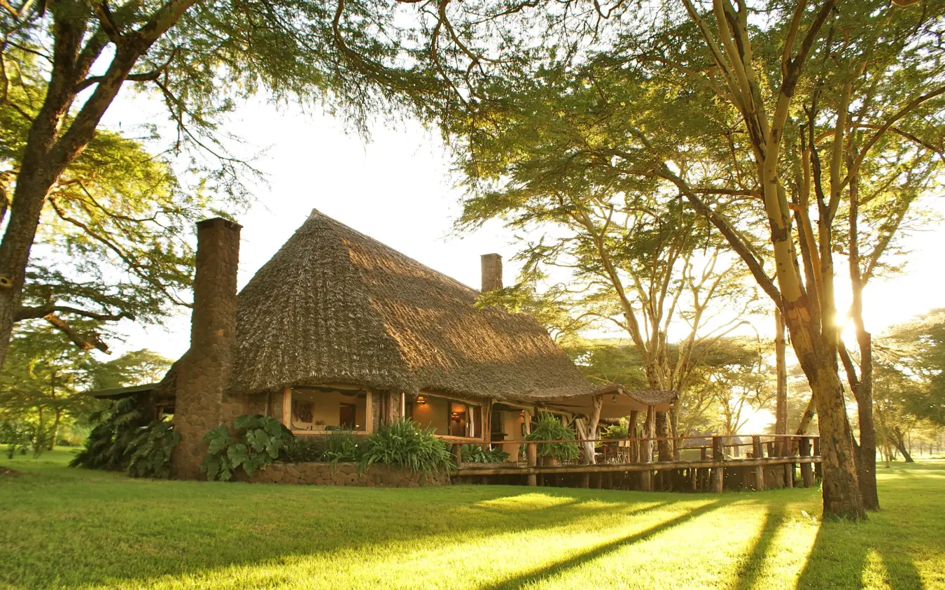 Thatched-roof lodge building surrounded by tall acacia trees, Sirikoi, Laikipia Highlands, Kenya