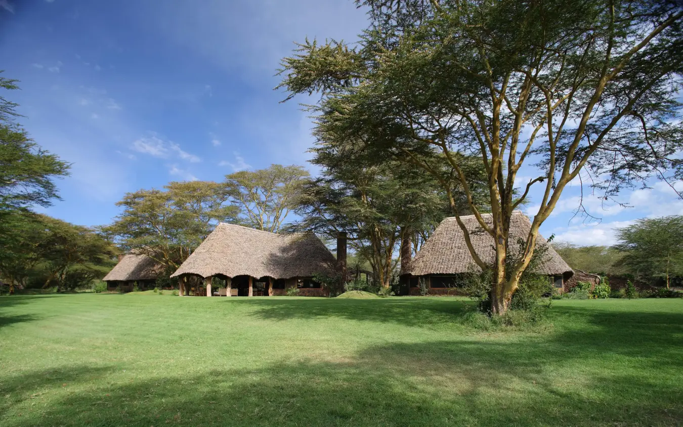 Thatched-roof buildings on manicured lawn with acacia trees, Sirikoi, Laikipia Highlands, Kenya