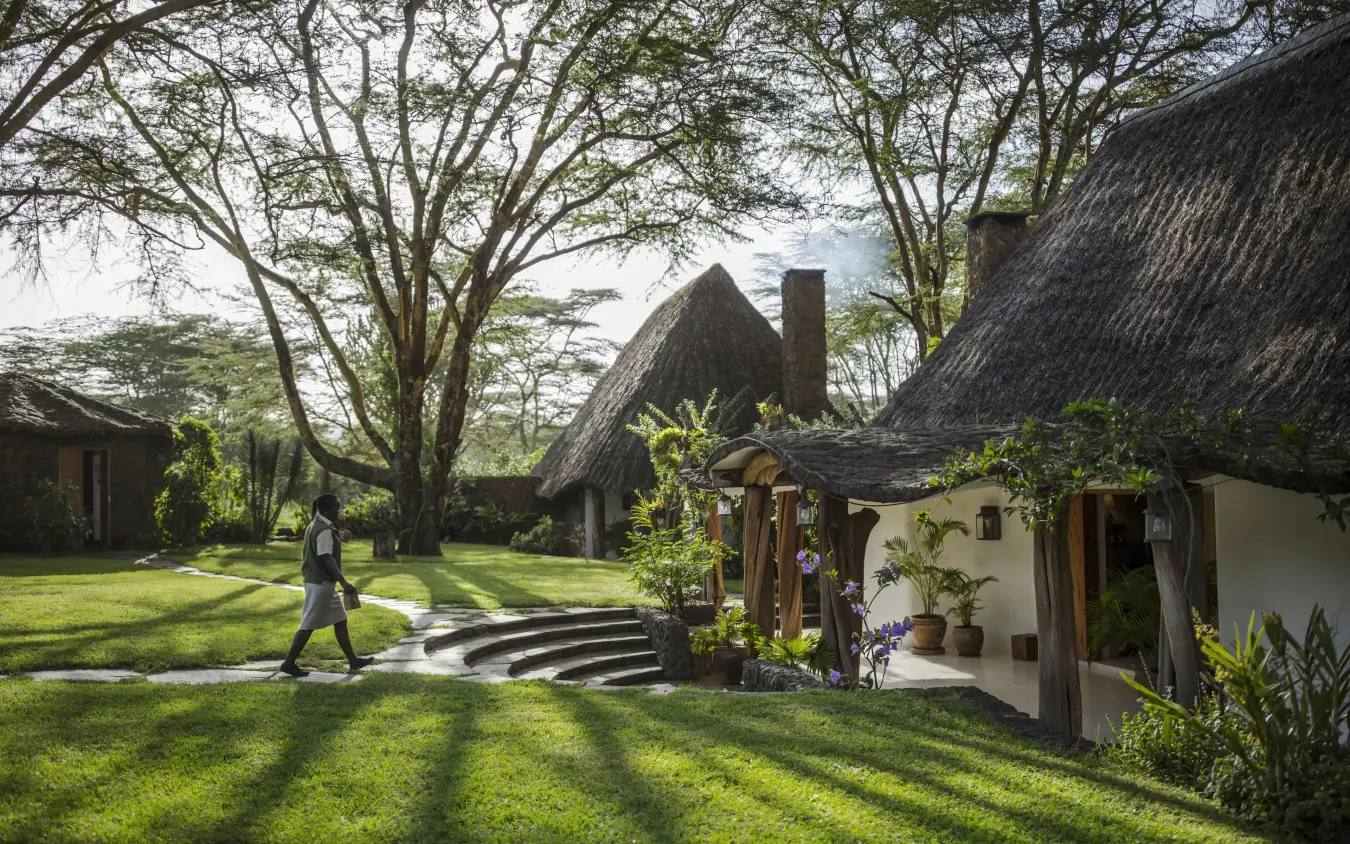 Thatched-roof lodge buildings with manicured lawn and mature trees, Sirikoi, Laikipia Highlands, Kenya