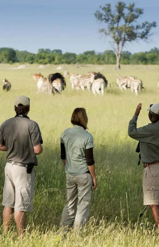 Guides pointing out wildlife to guests in savanna, Somalisa Acacia, Hwange National Park, Zimbabwe