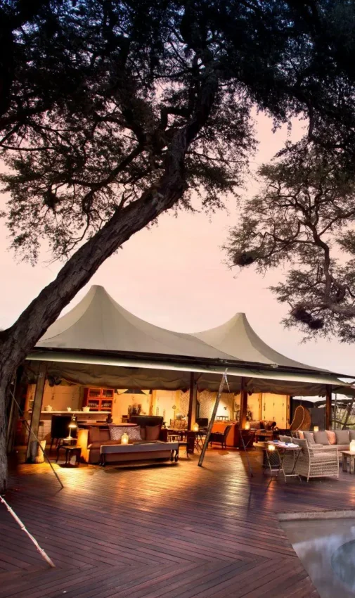 Safari lodge deck with tent and acacia trees at dusk, Somalisa Acacia, Hwange National Park, Zimbabwe