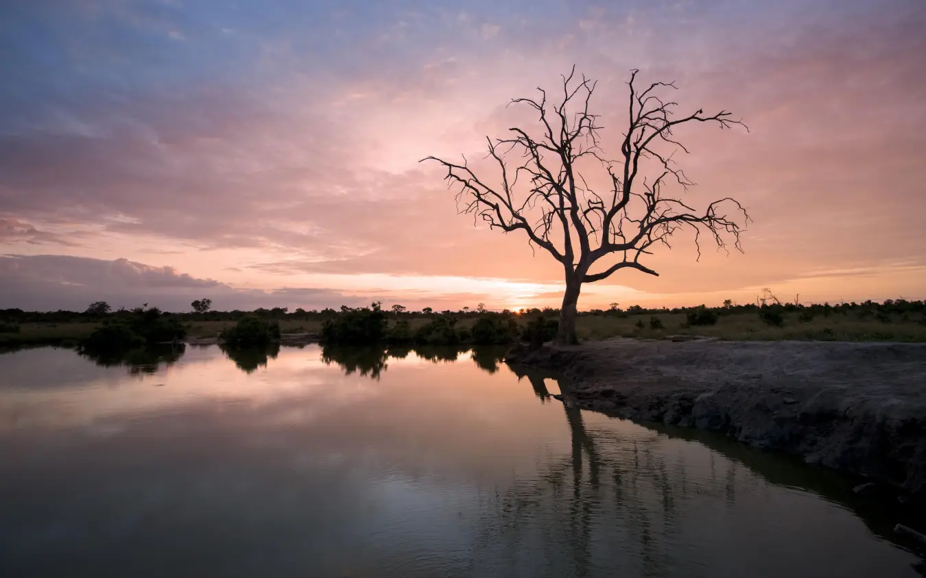 Dead tree silhouetted against sunset over water, Somalisa Camp, Hwange National Park, Zimbabwe