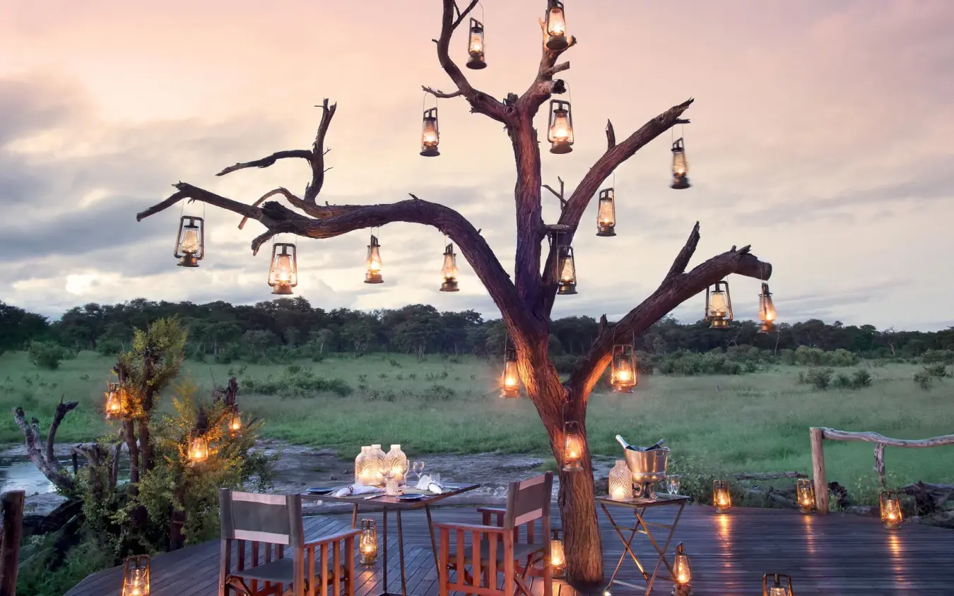 Outdoor dining setup with lanterns hanging from dead tree at dusk, Somalisa Expeditions, Hwange National Park, Zimbabwe